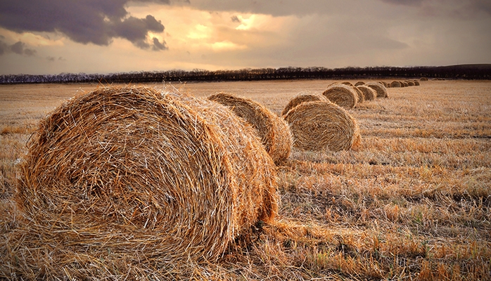 Face à la colère des agriculteurs, les Vingt-Sept s'accordent sur une révision de la PAC, moins exigeante sur le plan écologique 